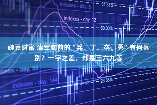 豌豆财富 清军胸前的“兵、丁、卒、勇”有何区别？一字之差，却是三六九等