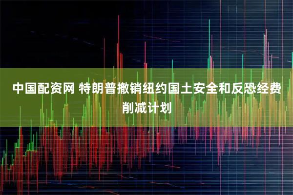 中国配资网 特朗普撤销纽约国土安全和反恐经费削减计划