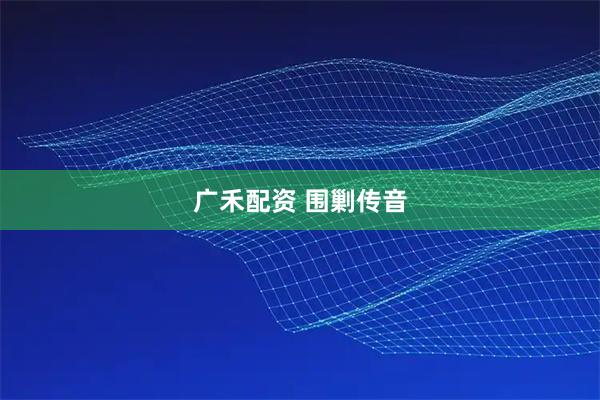 广禾配资 围剿传音