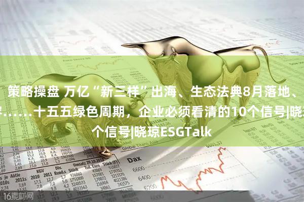 策略操盘 万亿“新三样”出海、生态法典8月落地、碳市场扩容……十五五绿色周期，企业必须看清的10个信号|晓琼ESGTalk